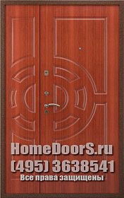 Двустворчатая металлическая дверь "Фиджи ДВ" фото