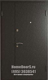 Двойная металлическая дверь в офис "Луиза ДВ" фото