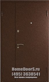 Двойная металлическая дверь в офис "Августа ДВ" фото