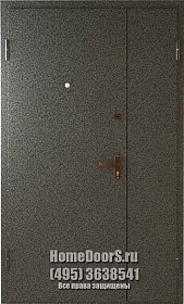 Двойная металлическая дверь в офис с 2х сторон фото