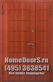 Двустворчатая металлическая дверь "Самет ДВ" фото